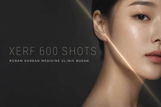 세르프 600샷
