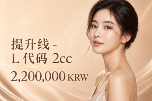 提升线 - L 代码 2cc